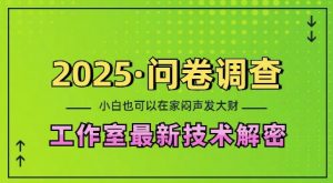 2025问卷调查最新工作室技术解密：一个人在家也可以闷声发大财，小白一天2张，可矩阵放大【揭秘】-知识创作