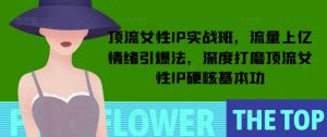 顶流女性IP实战班，流量上亿情绪引爆法，深度打磨顶流女性IP硬核基本功-知识创作