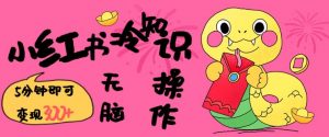 小红书冷知识账号，无脑复制粘贴，5分钟即可变现3张-知识创作