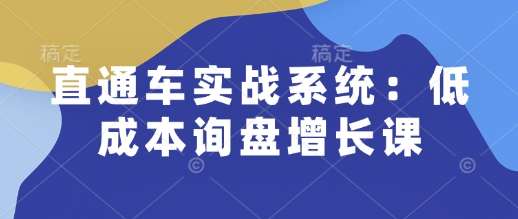 直通车实战系统：低成本询盘增长课，让个人通过技能实现升职加薪，让企业低成本获客，订单源源不断-知识创作