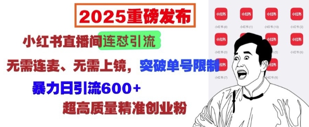 2025重磅发布：小红书直播间连怼引流，无需连麦、无需上镜，突破单号限制，暴力日引流600+-知识创作