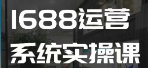 1688高阶运营系统实操课，快速掌握1688店铺运营的核心玩法-知识创作