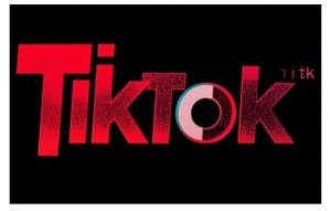 TikTok ads投流秘籍，涵盖tiktok整体投放思路，教你搭建测试计划-知识创作