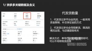 纪主任·拼多多年费会员(更新2025年1月)-知识创作