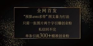 小红书神奇图片引流法，只需一张图，就能单条笔记凭借此方法，轻松引流 300 + 精准创业粉-知识创作