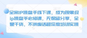 全案IP操盘手线下课，成为现象级ip操盘手必修课，无保留分享，全是干货，不讲废话超深度培训实操-知识创作