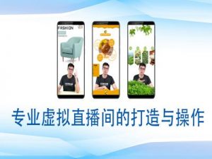 个人虚拟直播间的搭建与操作，专业虚拟直播间的打造与操作-知识创作