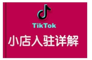 TikTok跨境小店运营全攻略，帮助你独立运营TK跨境小店的能力，实现销量增长-知识创作