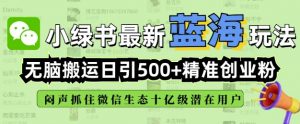 小绿书无脑搬运引流，全自动日引500精准创业粉，微信生态内又一个闷声发财的机会-知识创作