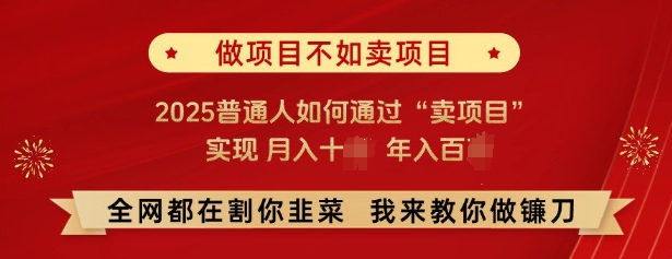 必看，做项目不如卖项目，2025普通人如何通过“卖项目”实现月入十个，年入百个-知识创作