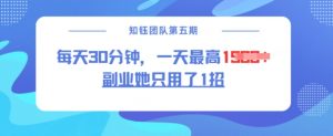 副业她只用了1招，每天30分钟，无脑二创，一天最高1.5k-知识创作