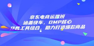 京东电商运营班：涵盖快车，DMP核心及各工具组合，助力打造爆款商品-知识创作