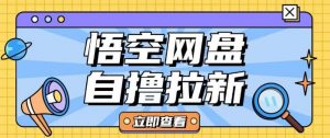 全网首发悟空网盘云真机自撸拉新项目玩法单机可挣10.20不等-知识创作
