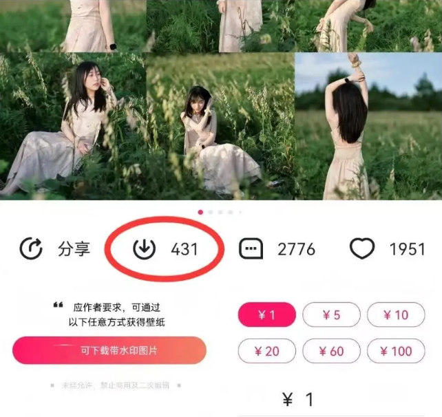 最新图虫搬运项目，收益无上限，利用AI小白也可日赚500+-知识创作