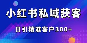 2025最新小红书平台引流获客截流自热玩法讲解，日引精准客户300+-知识创作