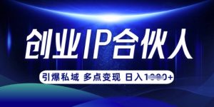 云帆·创业ip合伙人打造3.0，从0到1教你做网创，实现月入过W-知识创作