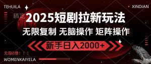 2025短剧拉新玩法，无需注册登录，无限0撸，无脑批量操作日入2000+-知识创作