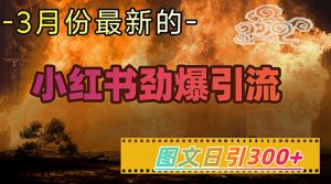 小红书超劲爆引流手段，图文日引300+轻松变现1W-知识创作