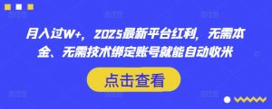 月入过W+，2025最新平台红利，无需本金、无需技术绑定账号就能自动收米-知识创作