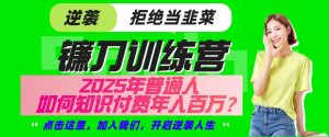 镰刀训练营超级IP合伙人，25年普通人如何通过“知识付费”实现逆袭-知识创作