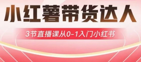 小红薯达人带货启航计划，3节直播课从0-1入门小红书-知识创作