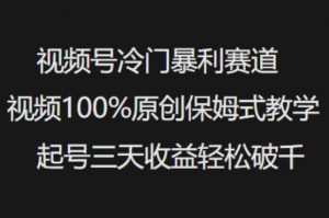 视频号冷门暴利赛道视频100%原创保姆式教学起号三天收益轻松破千-知识创作