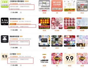 0成本虚拟项目实战手把手教你落地，单店月入5k-知识创作