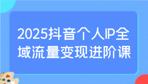 2025抖音个人IP全域流量变现进阶课：选爆品、抖音付费投流、千川投流实操及优化等-知识创作
