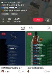 小红书治愈文案图文笔记，零门槛，一分钟制作轻松制作爆款作品月入万元-知识创作