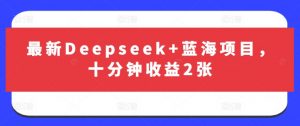 最新Deepseek+蓝海项目，十分钟收益2张-知识创作