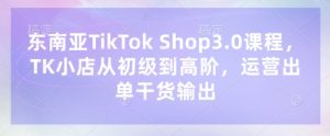 东南亚TikTok Shop3.0课程，TK小店​从初级到高阶，运营出单干货输出-知识创作