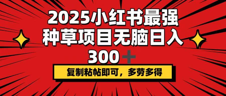 2025小红书最强种草项目，无脑日入300+，复制粘帖即可，多劳多得-知识创作