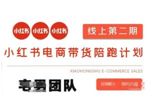 小红书电商带货课2期，月利润20个的小红书电商的有货源，无货源，虚拟产品，付费投流等整套玩法-知识创作