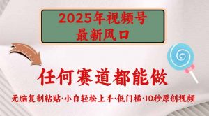 2025年视频号新风口，低门槛只需要无脑执行-知识创作