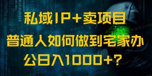 私域IP+卖项目，普通人如何做到宅家办公实现日入1000+-知识创作