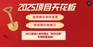 2025项目天花板普通人如何通过知识付费，实现财F自由【揭秘】-知识创作