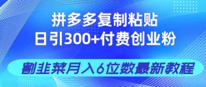拼多多复制粘贴日引300+付费创业粉，割韭菜月入6位数最新教程！-知识创作