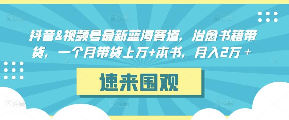 抖音&视频号最新蓝海赛道，治愈书籍带货，一个月带货上万+本书，月入2万＋【揭秘】-知识创作