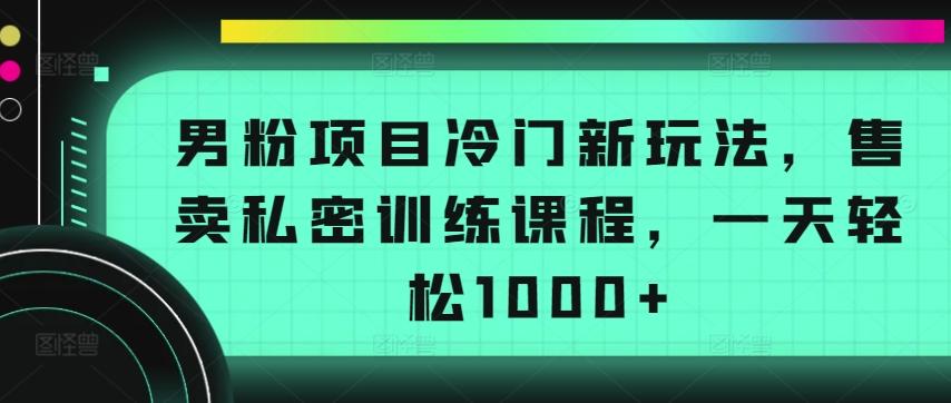 男粉项目冷门新玩法，售卖私密训练课程，一天轻松1000+【揭秘】-知识创作