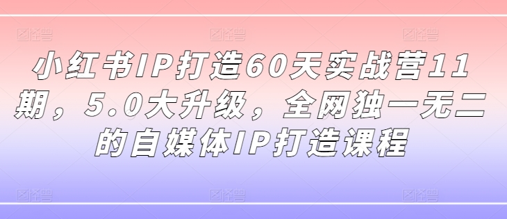 小红书IP打造60天实战营11期，5.0大升级，全网独一无二的自媒体IP打造课程-知识创作