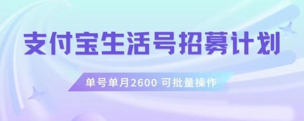 支付宝生活号作者招募计划，单号单月2600，可批量去做，工作室一人一个月轻松1w+【揭秘】-知识创作