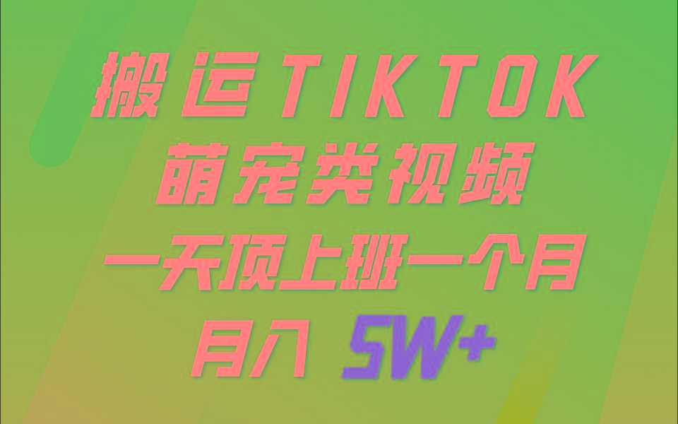一键搬运TIKTOK萌宠类视频，一部手机即可操作，所有平台均可发布 轻松月入5W+-知识创作
