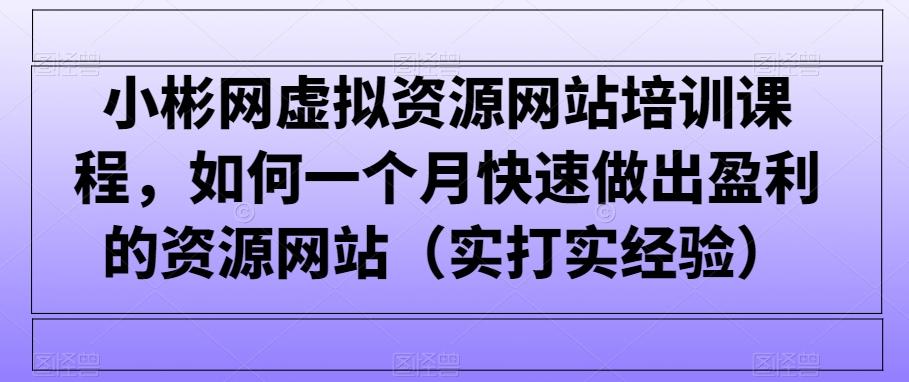 小彬网虚拟资源网站培训课程，如何一个月快速做出盈利的资源网站(实打实经验)-知识创作