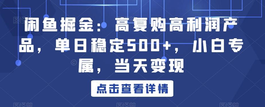 闲鱼掘金：高复购高利润产品，单日稳定500+，小白专属，当天变现-知识创作