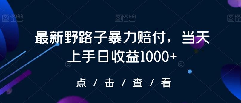 最新野路子暴力赔付，当天上手日收益1000+【仅揭秘】-知识创作