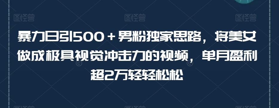 暴力日引500＋男粉独家思路，将美女做成极具视觉冲击力的视频，单月盈利超2万轻轻松松-知识创作