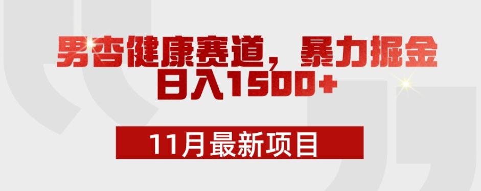 11月最新项目，男杏健康赛道，暴力掘金，日入1500+-知识创作