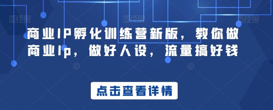 商业IP孵化训练营新版，教你做商业Ip，做好人设，流量搞好钱-知识创作