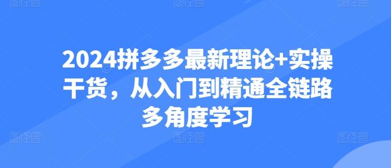 2024拼多多最新理论+实操干货，从入门到精通全链路多角度学习-知识创作