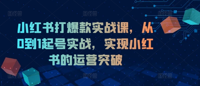 小红书打爆款实战课，从0到1起号实战，实现小红书的运营突破-知识创作